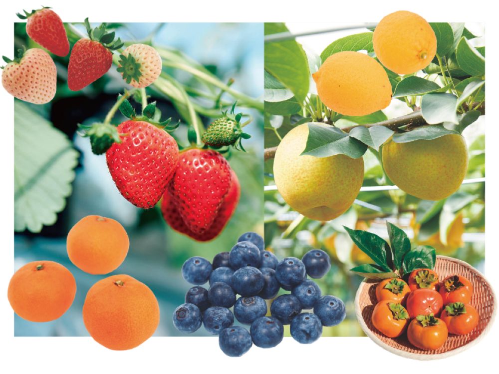 TitleTitleTitleTitleTitle